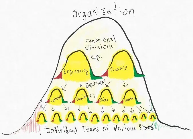 In a forced ranking system the vitality curve is often made to apply in a rigid way across all levels and teams in an organization, rather than just at the organization wide level.